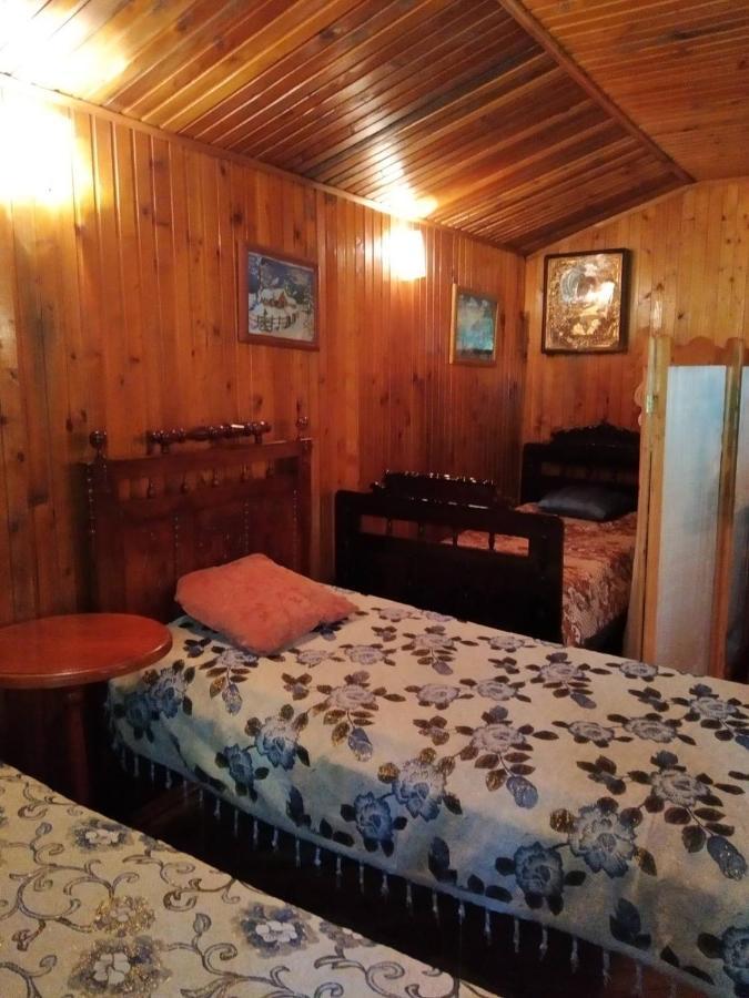 Ferienwohnung Domik S Saunoy Na Ogiyenko Kamjanez-Podilskyj Exterior foto